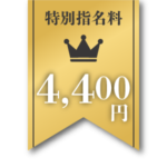 特別指名料4,400円